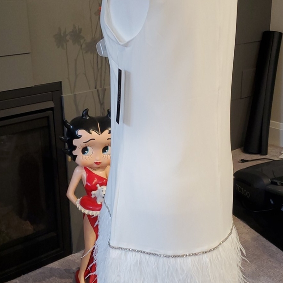 NWT Tahari Feather Trim Shift Dress - Picture 6 of 12